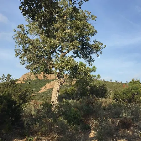 Ibis Styles St Raphael 3*