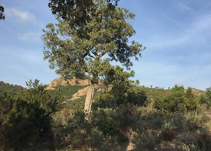 Ibis Styles St Raphael 3*